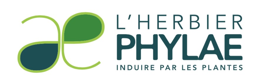 L'HERBIER PHYLAE